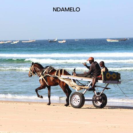 Ndamelo | Boomplay Music