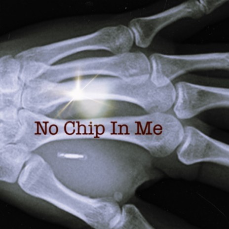 No Chip In Me | Boomplay Music