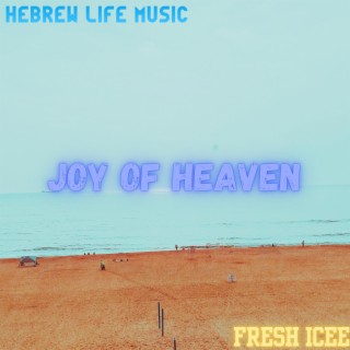 Joy Of Heaven