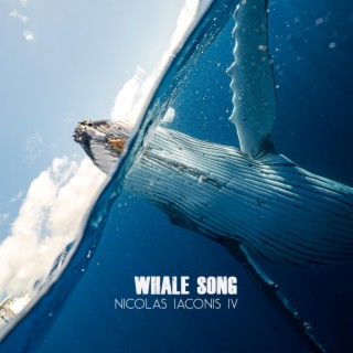 Whale Song