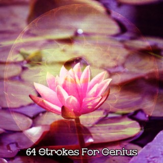 64 Strokes For Genius