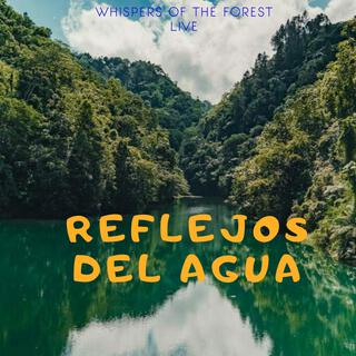 Reflejos Del Agua