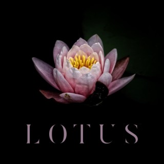 Lotus lyrics | Boomplay Music