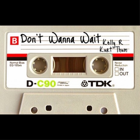 Don’t Wanna Wait ft. Kelly R | Boomplay Music