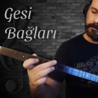 Gesi Bağları Enstrümantal Bağlama