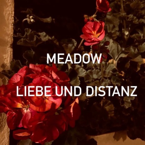 Liebe und Distanz