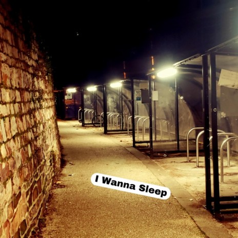 I Wanna Sleep | Boomplay Music