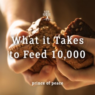 What it Takes to Feed 10,000
