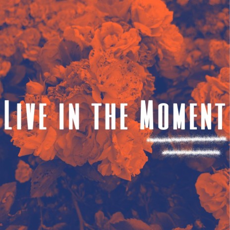 In the Moment | Boomplay Music