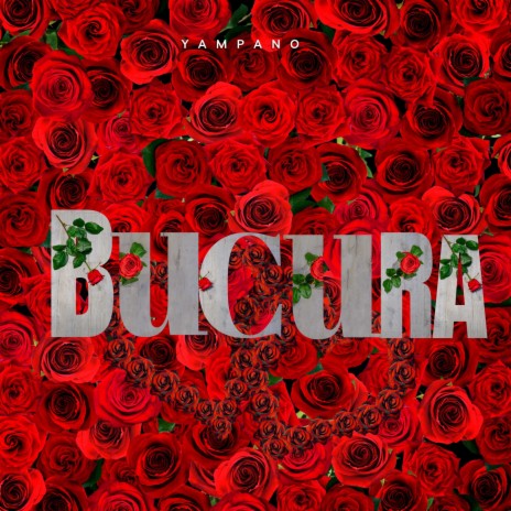 Bucura | Boomplay Music