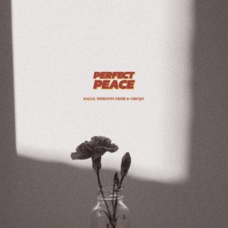 Perfect Peace ft. Omojo & Shirlvin Desir lyrics | Boomplay Music