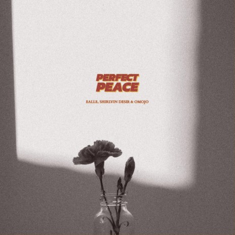 Perfect Peace ft. Omojo & Shirlvin Desir | Boomplay Music