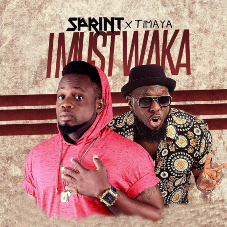 I Must Waka (feat. Timaya) | Boomplay Music