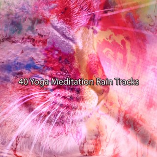 40 Yoga Meditation Rain Tracks