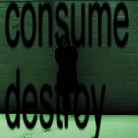 consume destroy ft. STREETWALKER | Boomplay Music