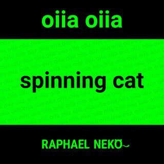 spinning cat (oiia oiia) lyrics | Boomplay Music