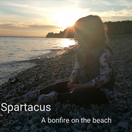 A bonfire on the beach | Boomplay Music