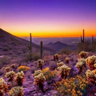 Cottonwood Tucson Rehab Review (Podcast) - Is Cottonwood Tucson Legit?
