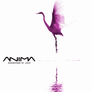 Anima