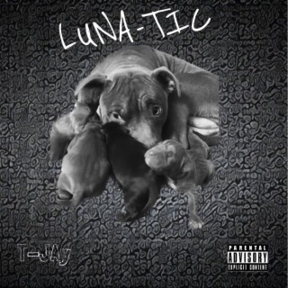 LUNA-TIC