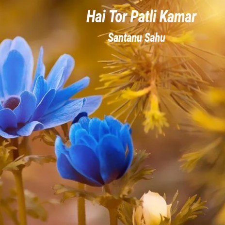 Hai Tor Patli Kamar | Boomplay Music