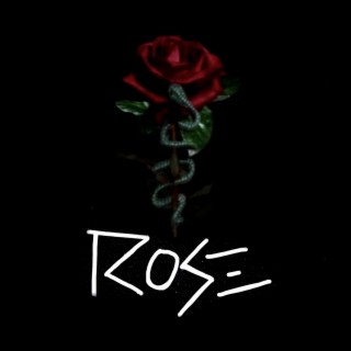 Shotguns Roses lyrics | Boomplay Music