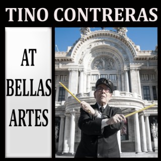 Tino Contreras at Bellas Artes