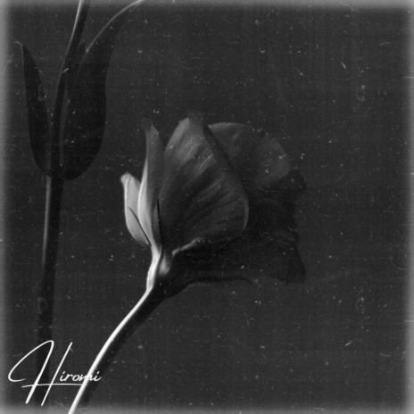 Nocturne of Lilies | Boomplay Music
