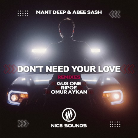 Don't Need Your Love (Rip0e Remix) ft. Abee Sash