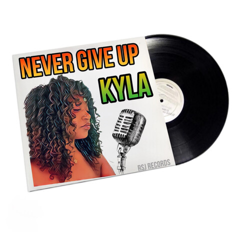 Never Give Up | Boomplay Music