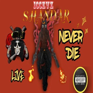 Shandar Live Never Die