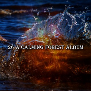 26 A Calming Forest Album