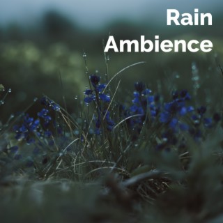 Rain Ambience