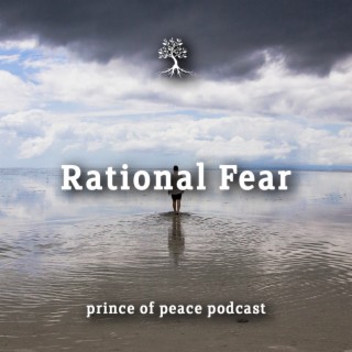 Rational Fear