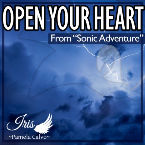 Open Your Heart (From Sonic Adventure) | Boomplay Music