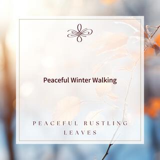 Peaceful Winter Walking