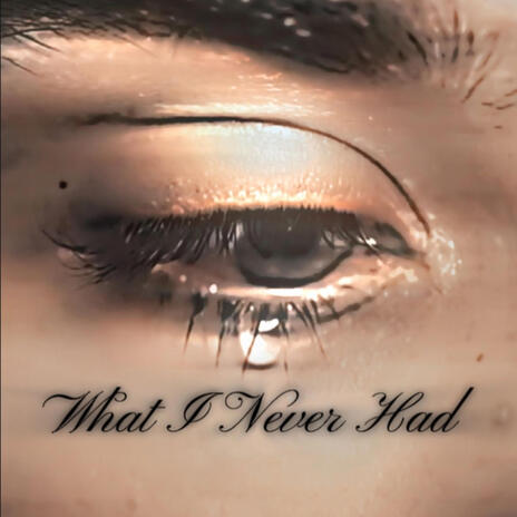 What I Never Had | Boomplay Music