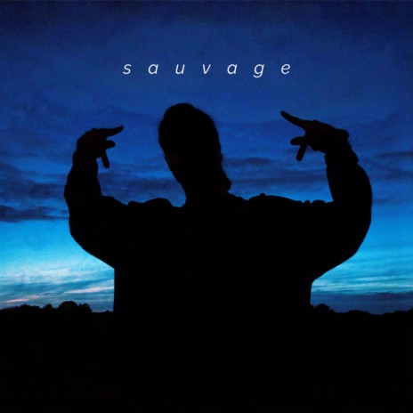 deux sept sauvage | Boomplay Music