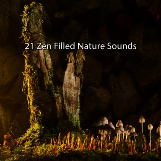 21 Zen Filled Nature Sounds