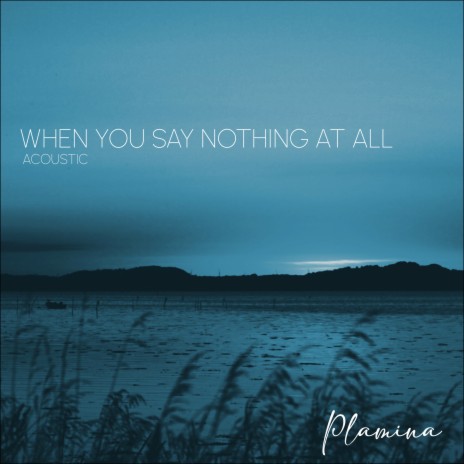 When You Say Nothing At All (Acoustic) | Boomplay Music