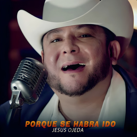 Por Que Se Habra Ido | Boomplay Music