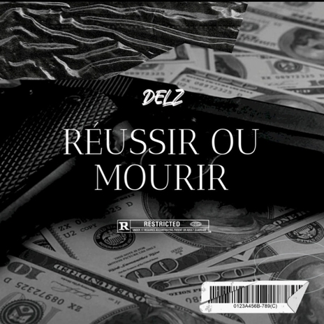 Réussir Ou Mourir | Boomplay Music