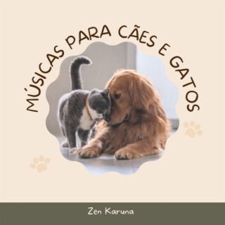 Músicas para cães e gatos