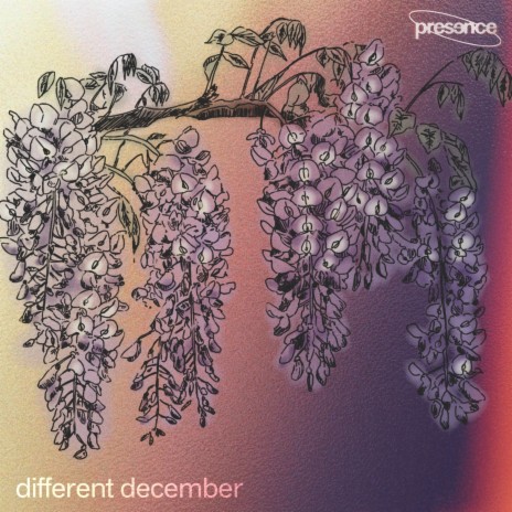 Different December | Boomplay Music