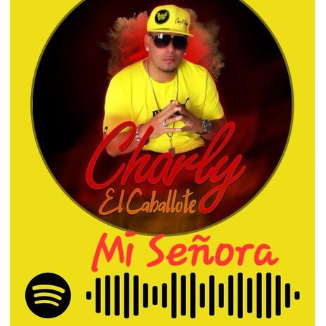 Mi Señora | Boomplay Music