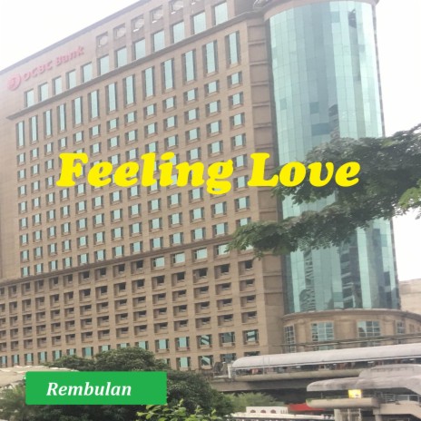 Feeling Love | Boomplay Music