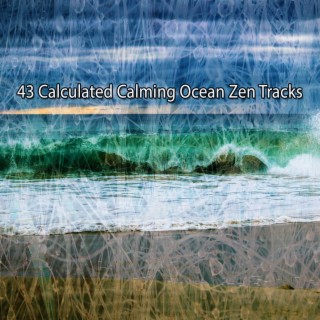 43 Calculated Calming Ocean Zen Tracks
