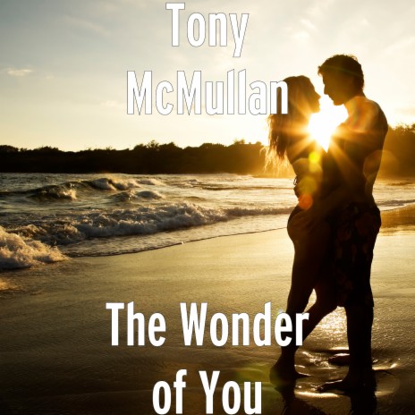 The Wonder of You | Boomplay Music