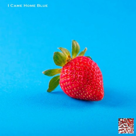 I Came Home Blue | Boomplay Music