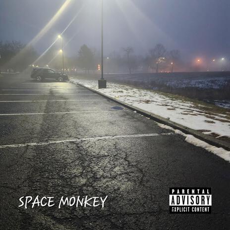 Space Monkey | Boomplay Music